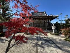円寿寺