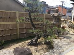 哀愍寺