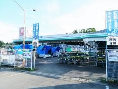コメリハード＆グリーン　山武店