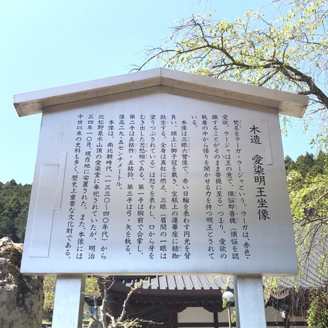 投稿写真3