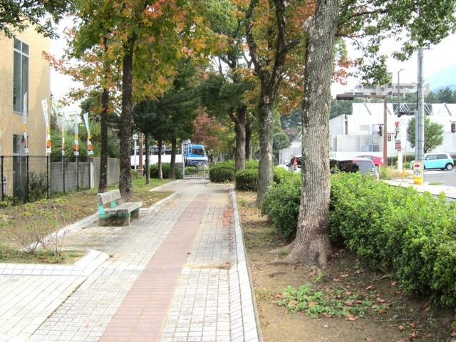 投稿写真6