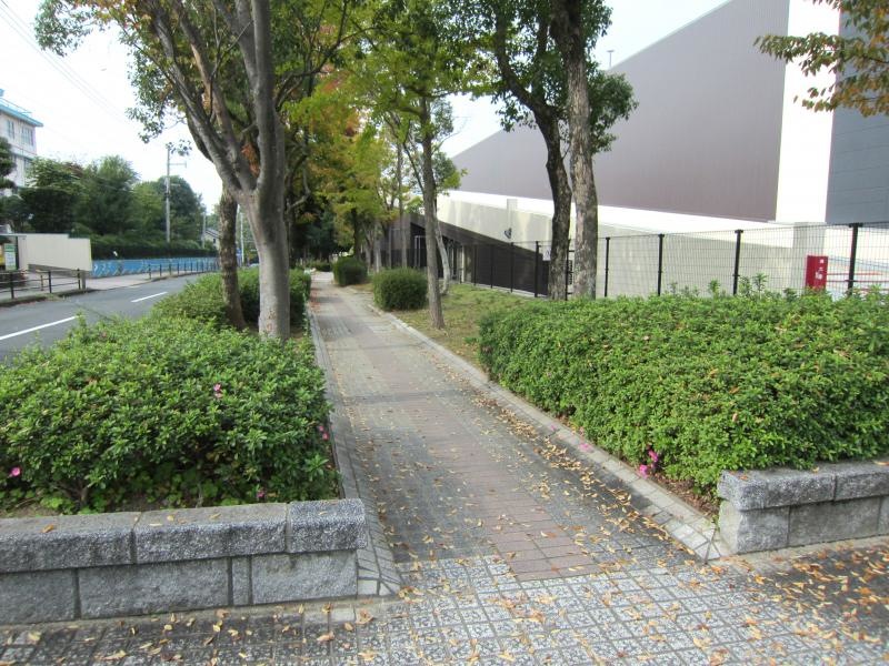 黒崎緑道