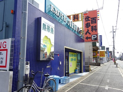 マーケットピア エキゾチックアフリカ 八尾市八尾木北