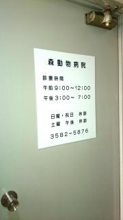 森動物病院