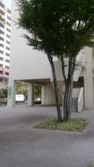 森ノ宮医療大学大学院