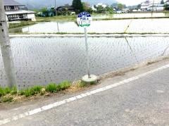 「新井(川場村)」バス停留所