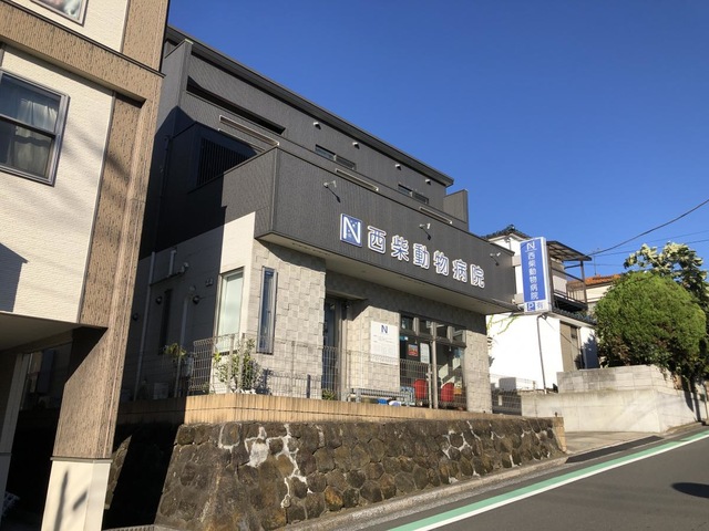 投稿写真8