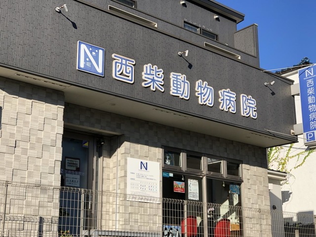 投稿写真7