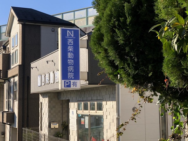 投稿写真3