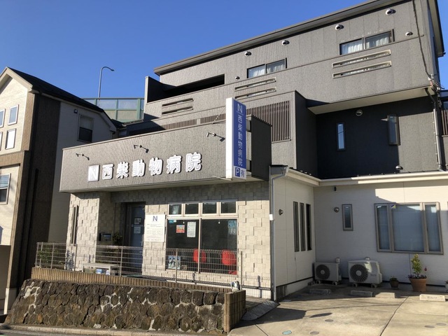 投稿写真2