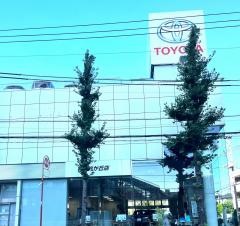 トヨタモビリティ東京　谷原光が丘店