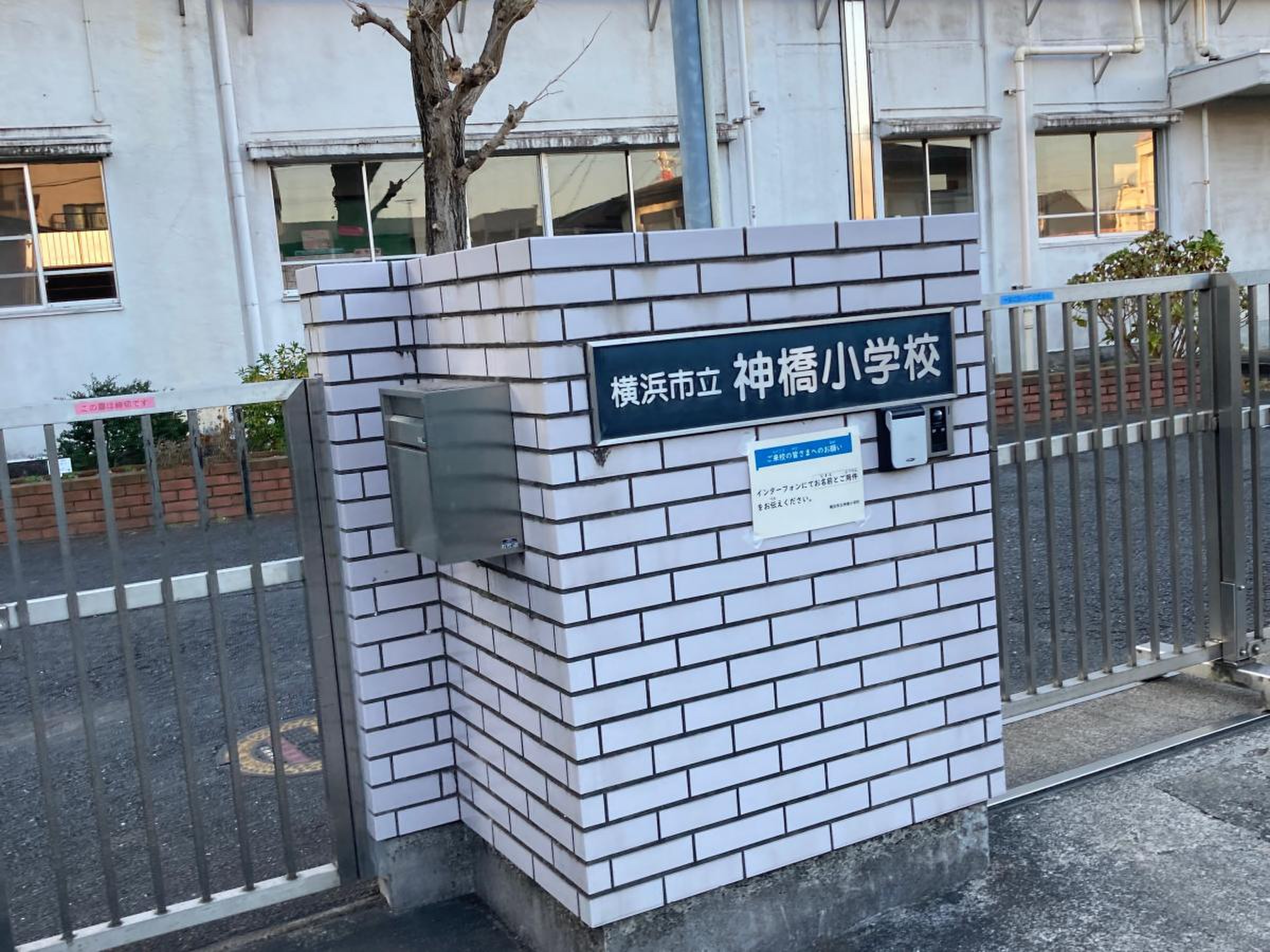 横浜 市立 神橋 小学校