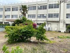西黒部小学校