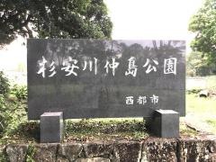 杉安川仲島公園