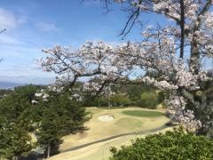 アベニュー