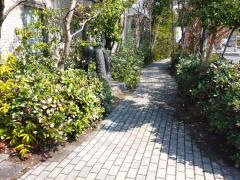 小川内科胃腸科