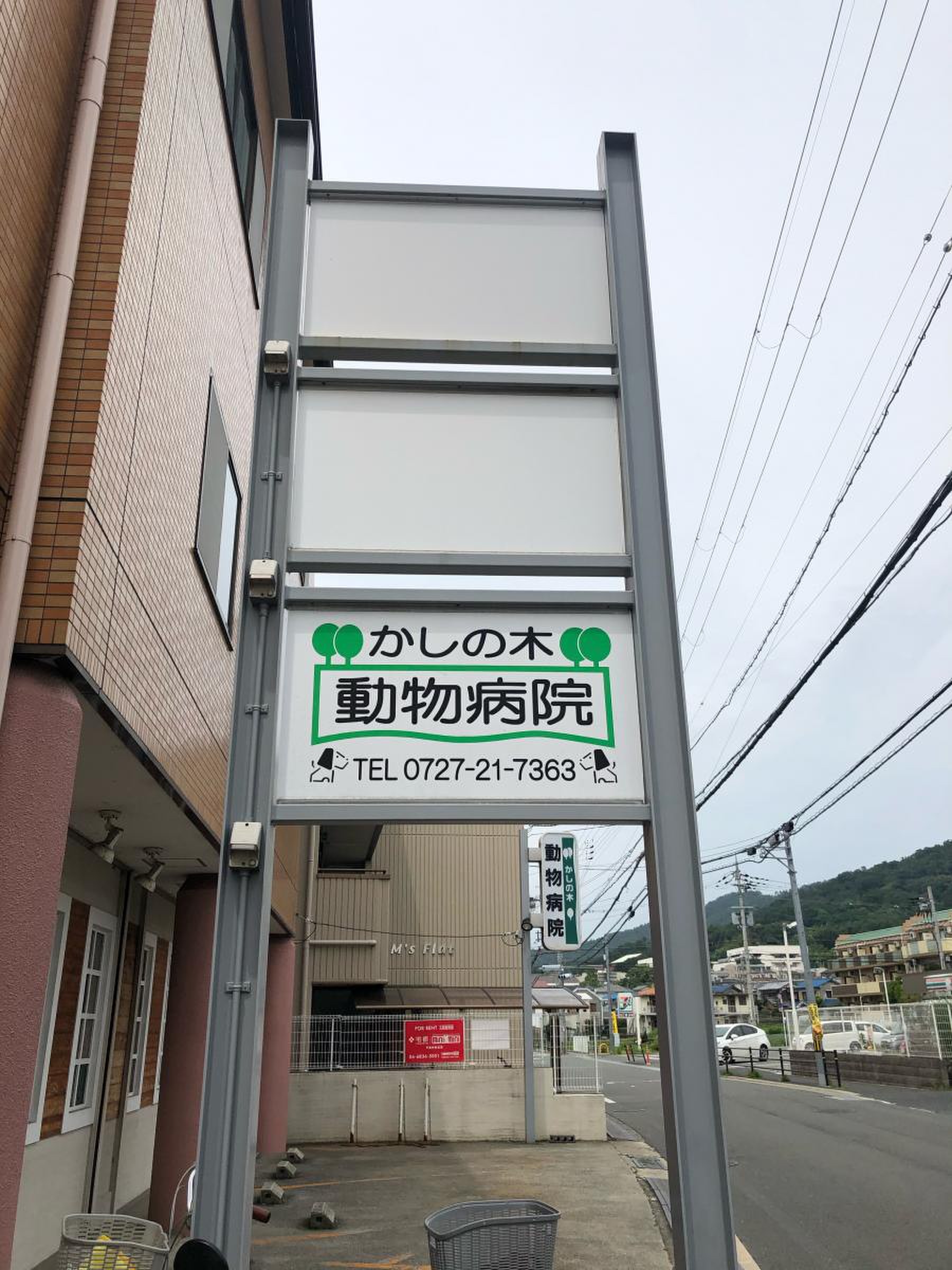 か し の 木 動物 病院