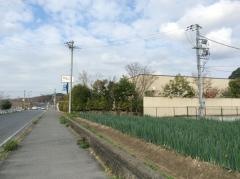 梅の花　奈良店