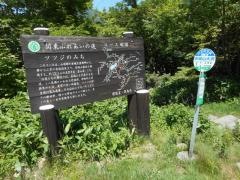 「赤城山大洞」バス停留所