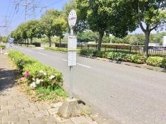 「もえぎ野中央」バス停留所