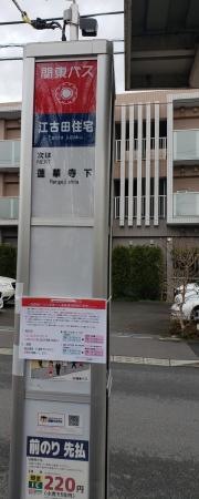 「江古田住宅」バス停留所