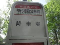 「神代植物公園前」バス停留所