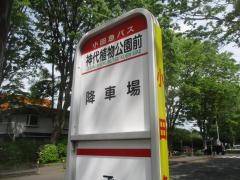 「神代植物公園前」バス停留所