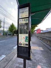 「神泉苑前」バス停留所