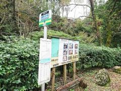 「森林センター前」バス停留所