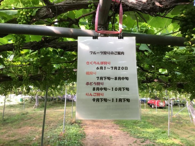 施設写真16