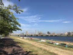 信濃川やすらぎ堤緑地
