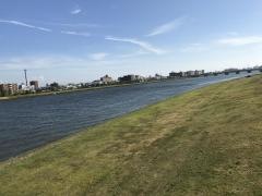 信濃川やすらぎ堤緑地