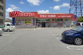 ドラッグストアウェルネス東津田店