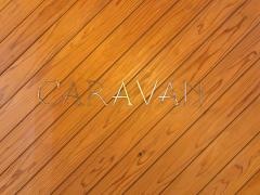 ＣＡＲＡＶＡＮ