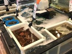 綿半魚類一宮漁港