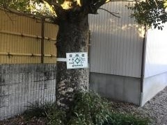瑞法寺