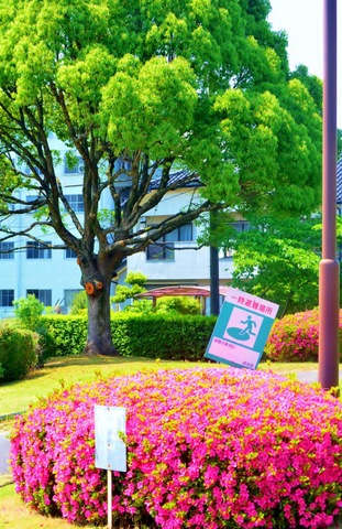 施設写真14