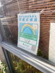 うさぎ