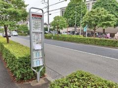 「狛江市民総合体育館」バス停留所