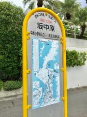 「坂中原」バス停留所