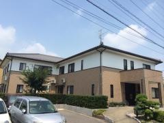 すずらん（幸せの再来）