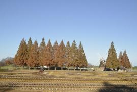 あけぼの山公園
