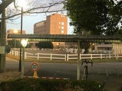 麻布大学附属学術情報センター図書館