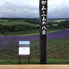 深山峠ラベンダーオーナー園