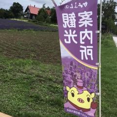 深山峠ラベンダーオーナー園