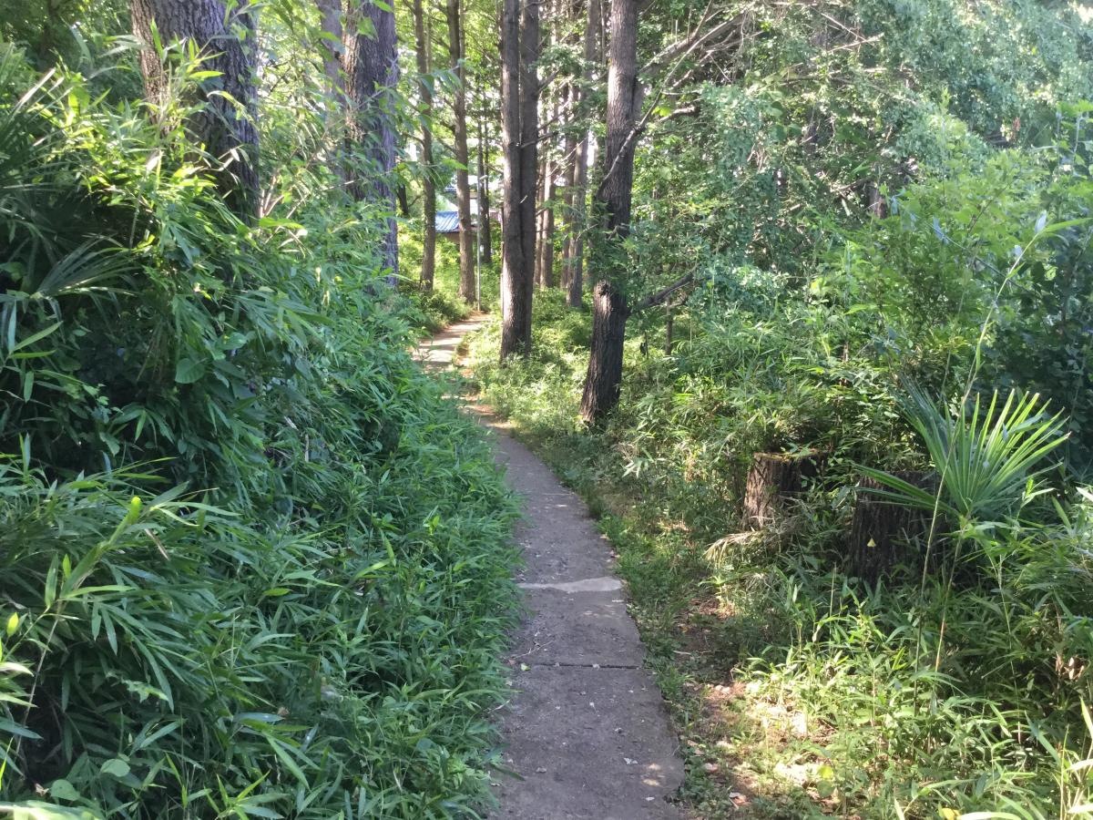 施設全景⑤