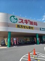 スギ薬局　生桑店