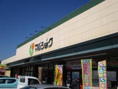 マルショク　津久見店