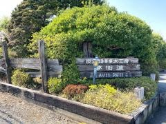 夢街道東金井店