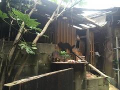 招き猫美術館